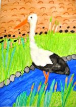 Buchaľová Viktória.jpg